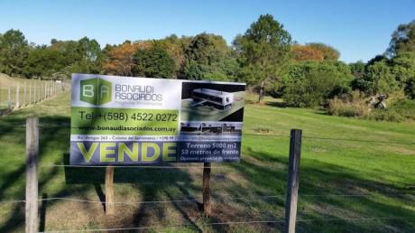 Venta - - Terreno En Laguna De Los Patos