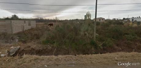 Venta - General - Terreno
