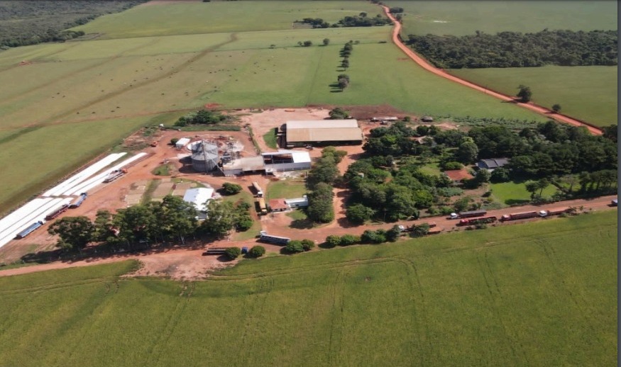 Vendo Campo de 914 Hectáreas en Alto Paraná-CLCS5526190 — foto 2