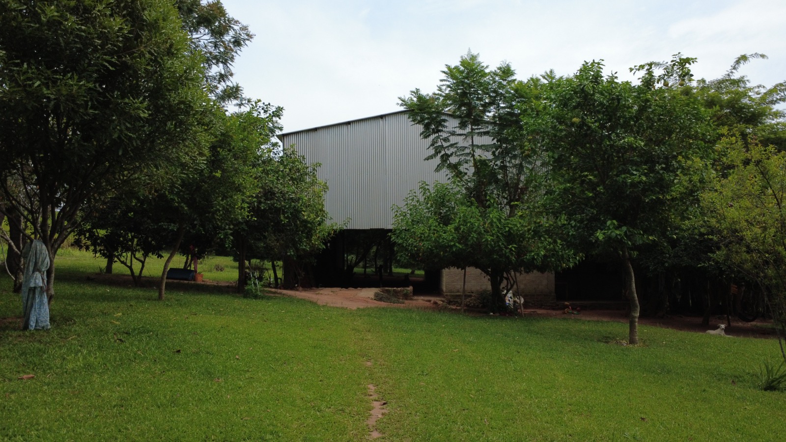 EN VENTA CAMPO GRANJA EN CAAGUAZU 20 HAS CON INFRAESTRUCTURA — foto 3