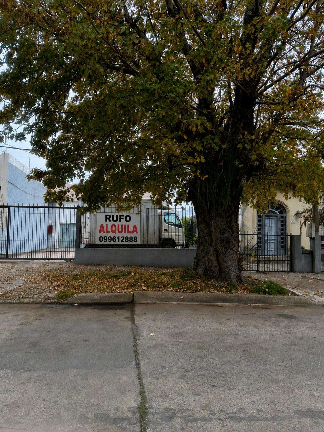 Alquiler de Local amplio con parking Depósito