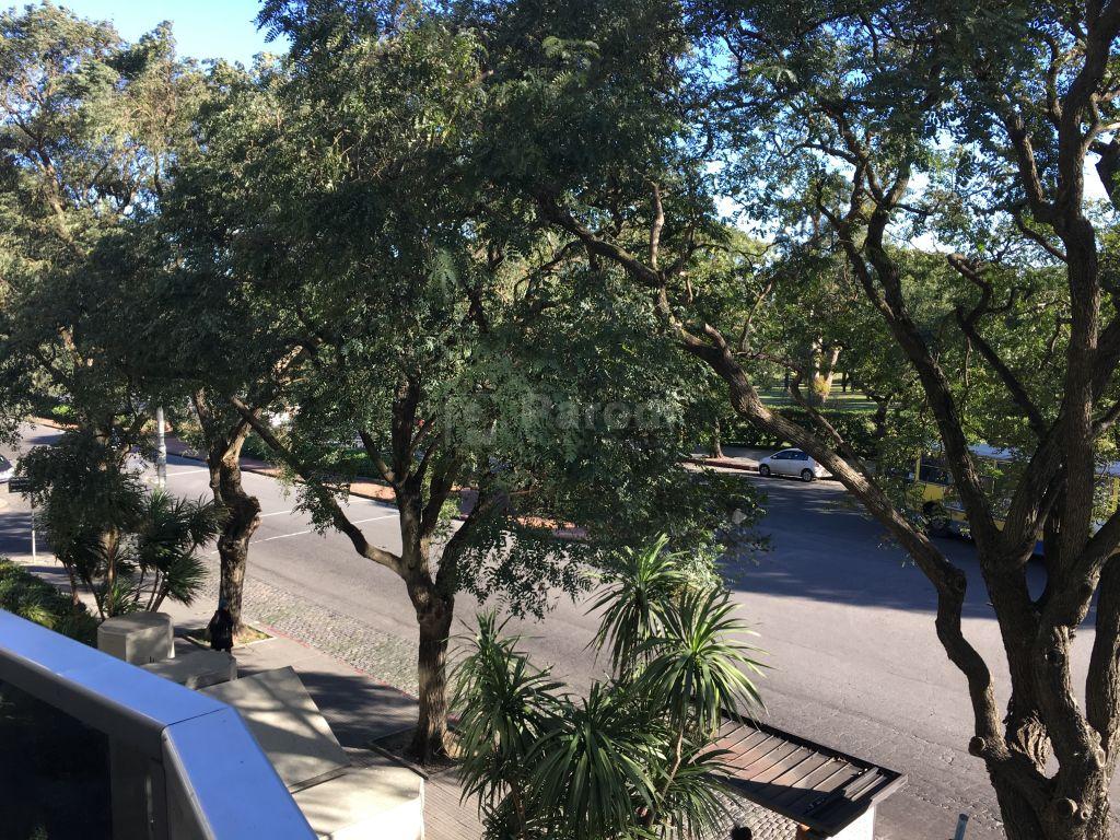 Foto 2 de 19