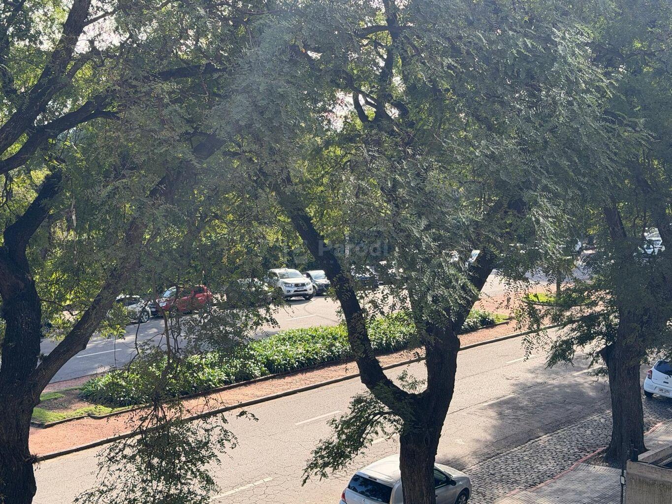 Foto 2 de 25