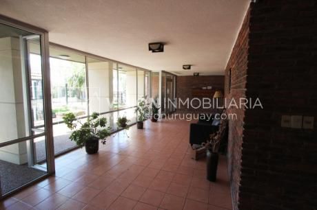 Apartamento En Alquiler!