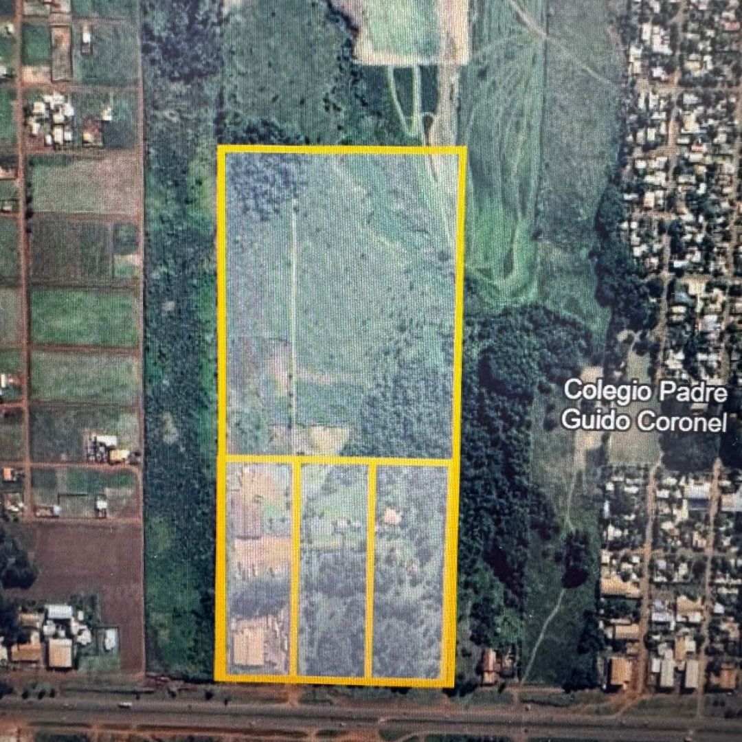 SE VENDE TERRENO DE 21 HECTAREAS EN MINGA GUAZU — foto 2