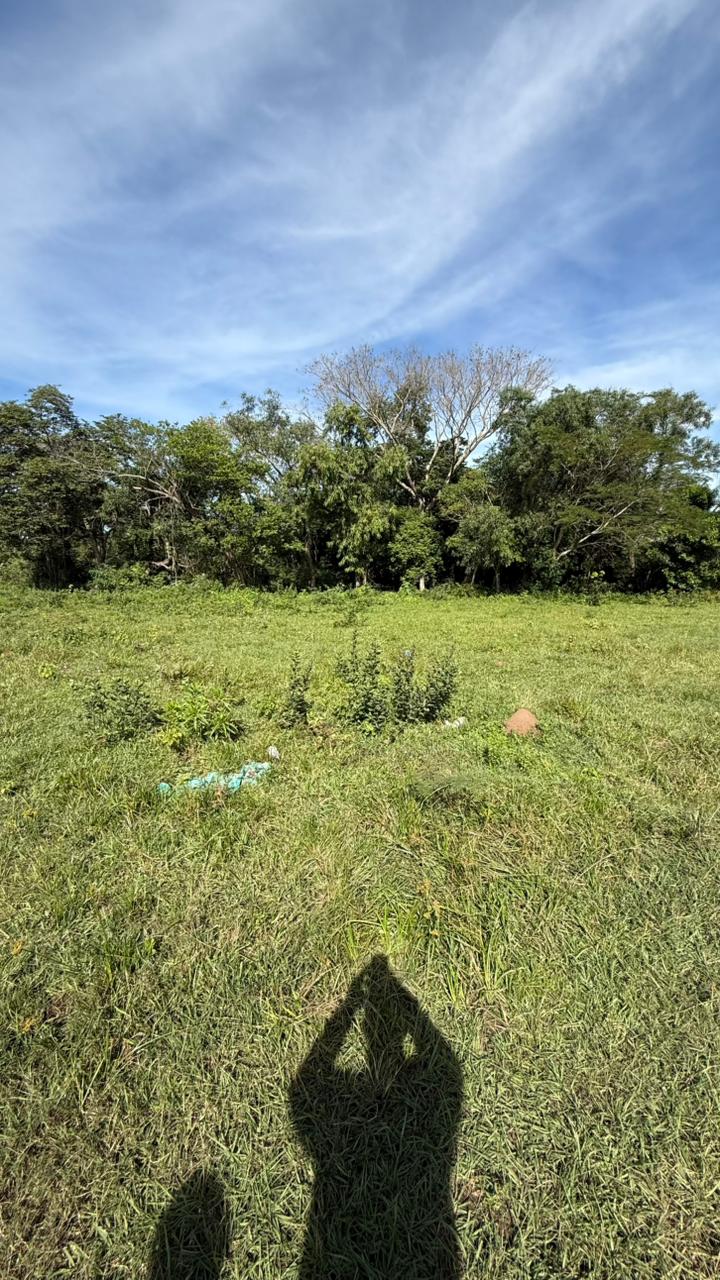 VENDO TERRENO EN SAN BERNARDINO — foto 2