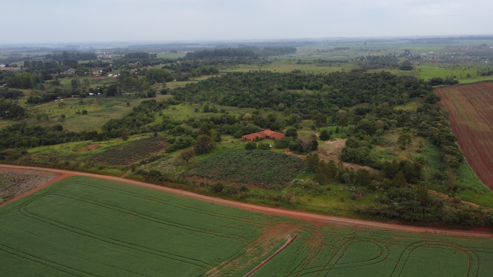 VENDO 40 HECTAREAS EN MINGA GUAZU  KM 28 ALTO PARANÁ — foto 3