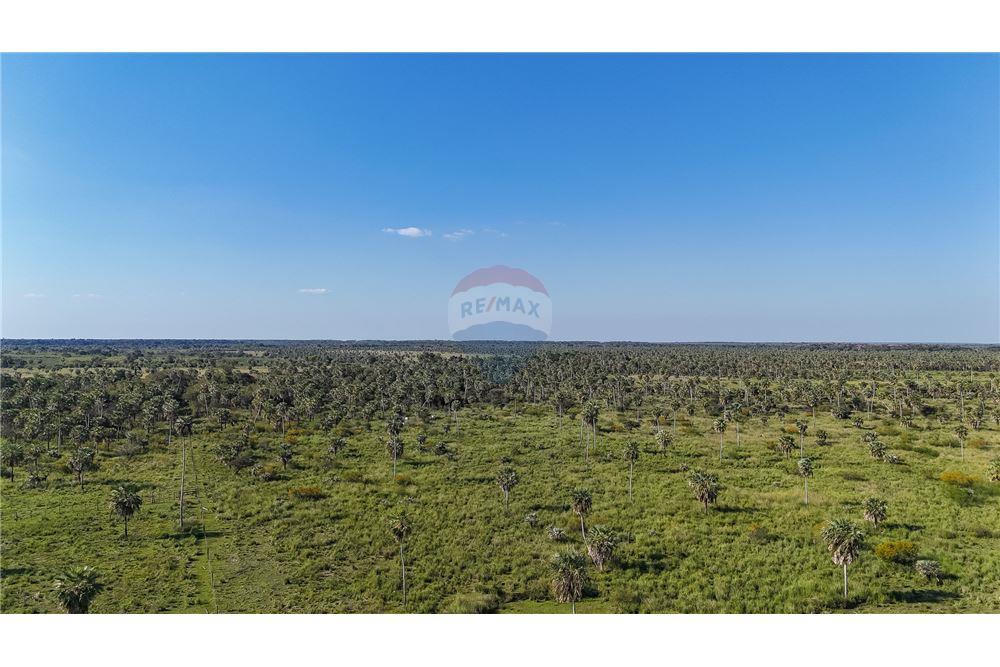 Hectáreas en arroyos y esteros — foto 3