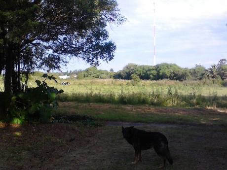 Oportunidad Chacra 8 Ha