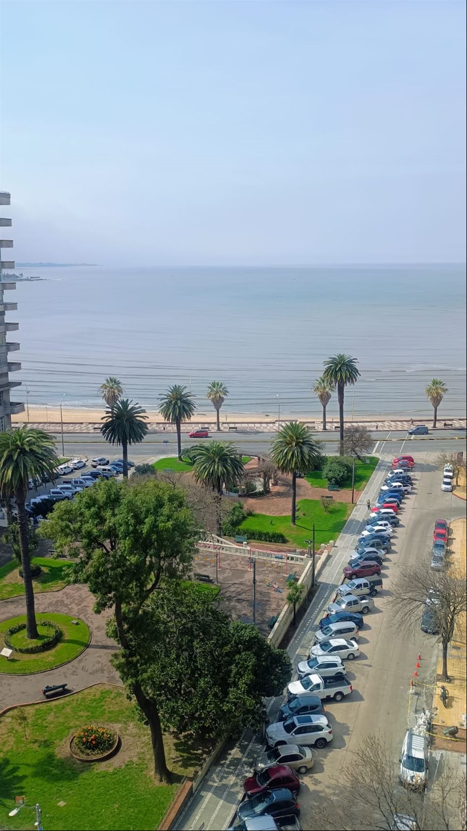 J.S. Alquiler oficina monoambiente Pocitos vista gomensoro