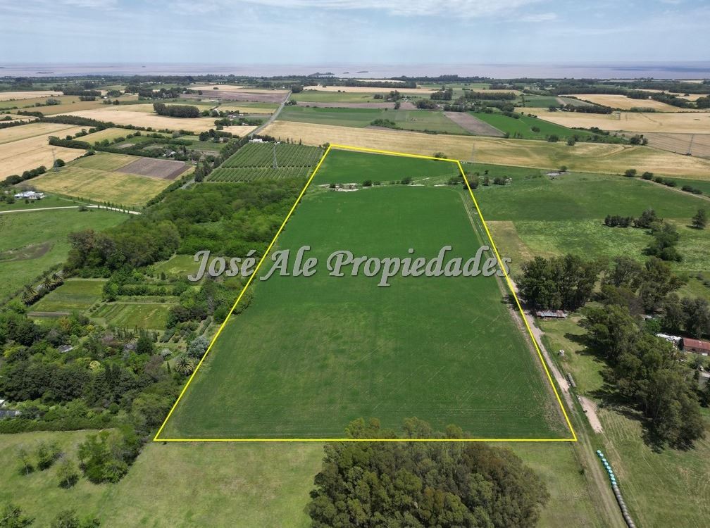En Arrendamiento Campo Agricola Ganadero De 13 Ha Colonia