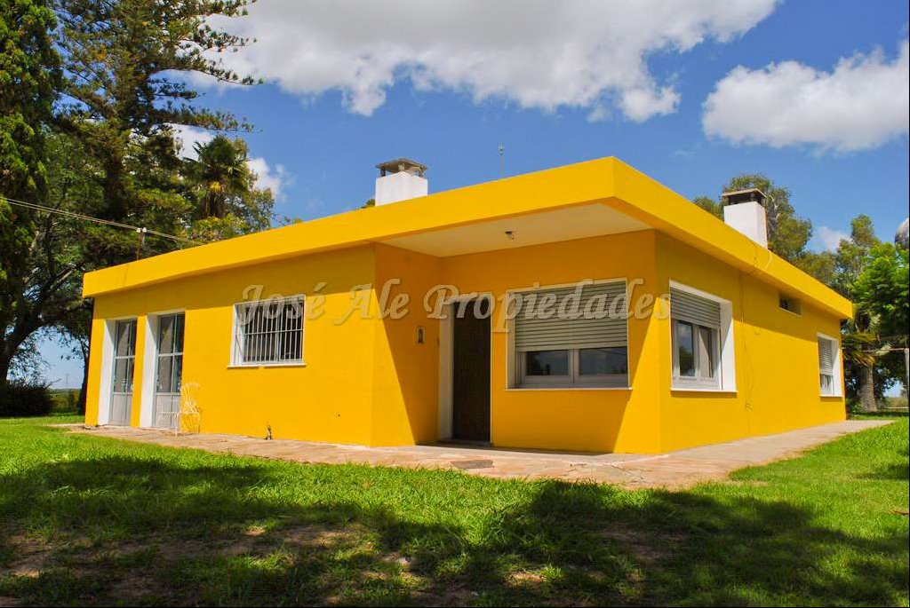 EN ALQUILER: Hermosa chacra de una hectárea sobre ruta 21