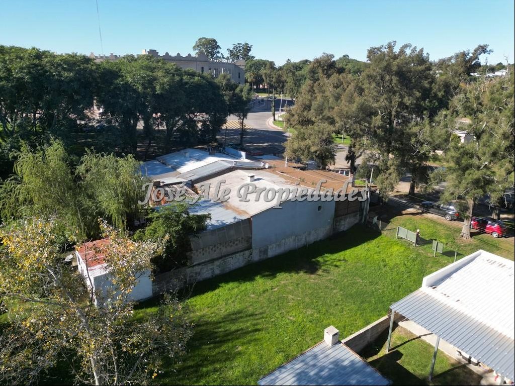 EN ALQUILER TERRENO DE 650M2 UBICADO A METROS DE LA PLAZA DE TOROS, COLONIA. · Photo 5