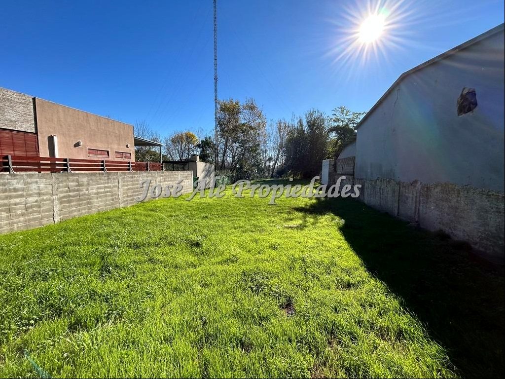 EN ALQUILER TERRENO DE 650M2 UBICADO A METROS DE LA PLAZA DE TOROS, COLONIA. · Photo 7