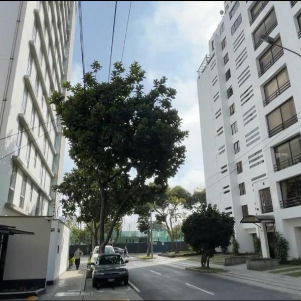 Imagen 2 de Apartamento