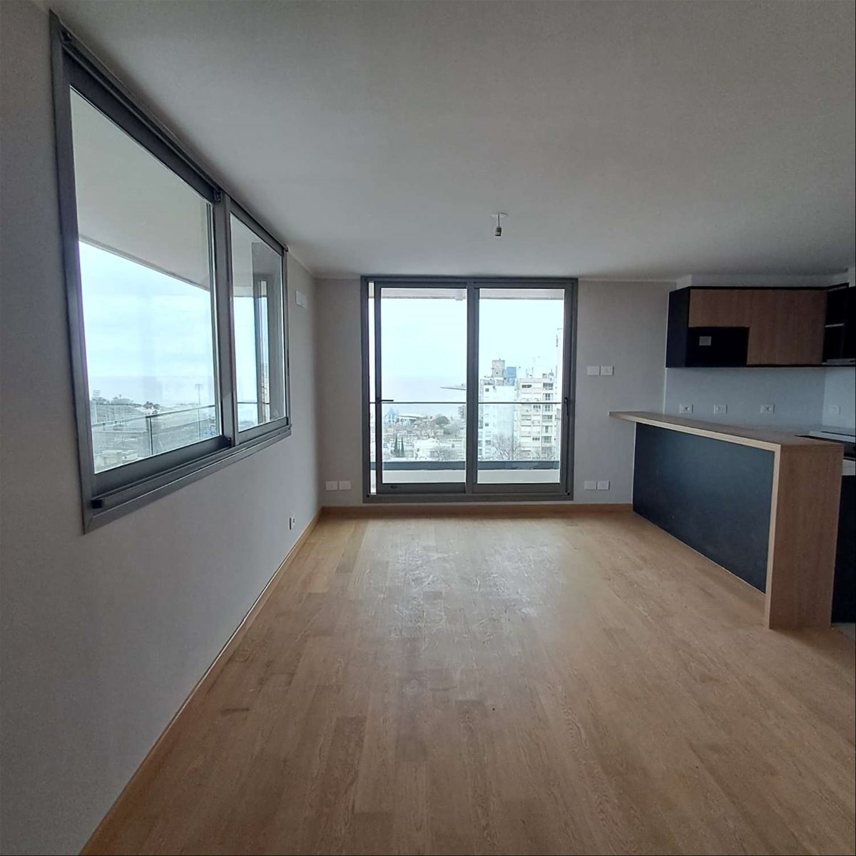 Alquiler apartamento de 1 dormitorio en Punta Carretas