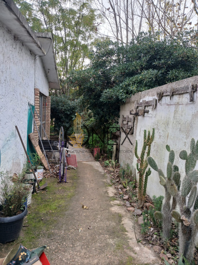 Foto 4 de 12