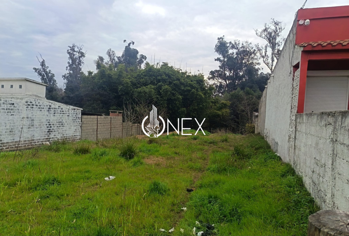 Oportunidad en venta de 2 terrenos en Tacuarembó - foto 5
