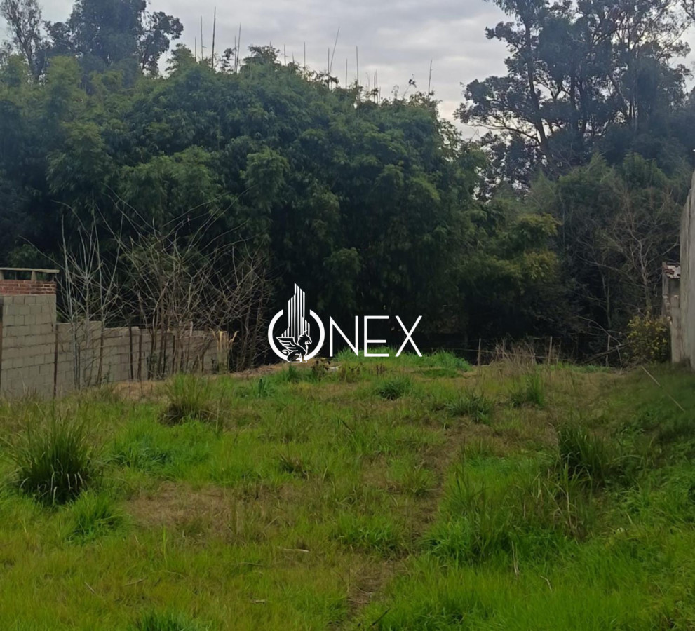 Oportunidad en venta de 2 terrenos en Tacuarembó - foto 2