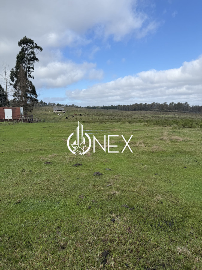 Se vende terreno de 2900 m2 en Barrio La Matutina - foto 5