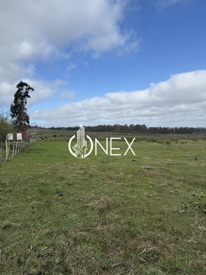 Se vende terreno de 2900 m2 en Barrio La Matutina - foto 4