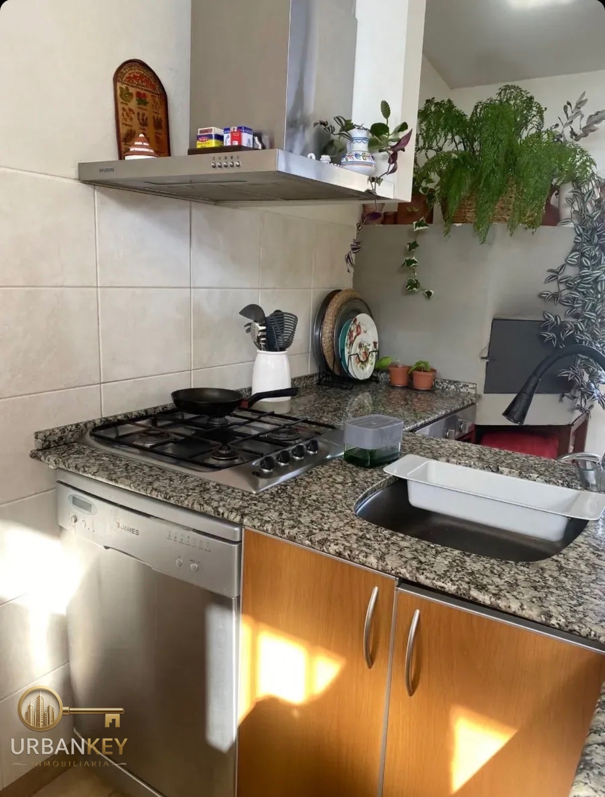 Apartamento en alquiler 2 dormitorios con terraza y parrillero en La Blanqueada · Foto 10