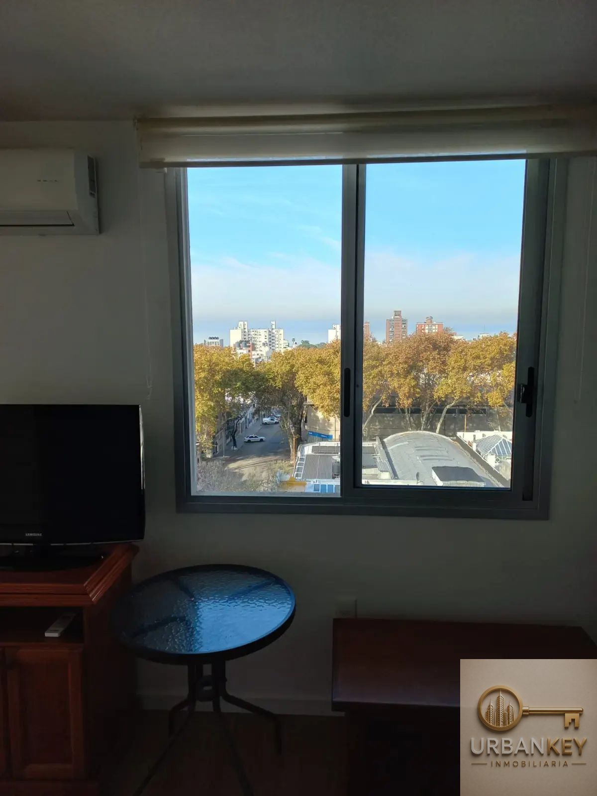 ALQUILER APARTAMENTO 1 DORMITORIO AMOBLADO EN BARRIO SUR · Foto 5