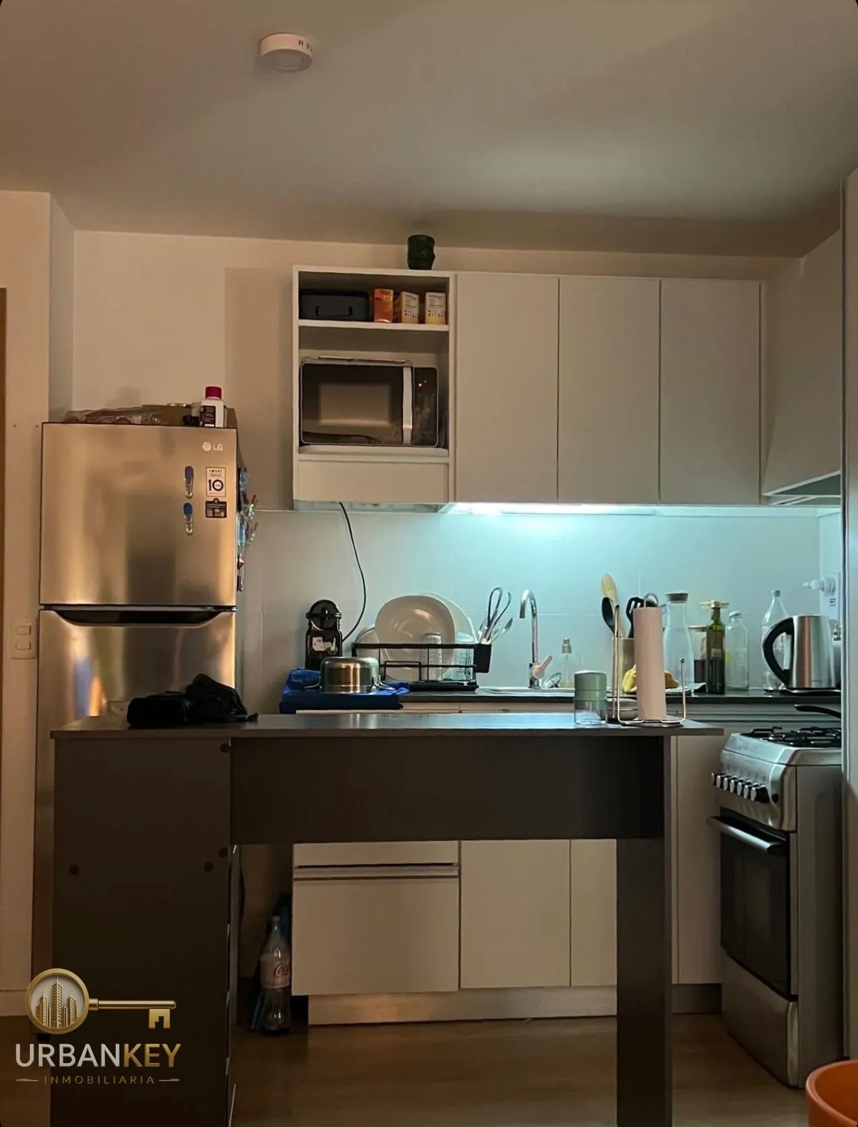APARTAMENTO EN ALQUILER 1  DORMITORIO CON GRAN TERRAZA Y VISTA AL MAR - MALVIN · Foto 5