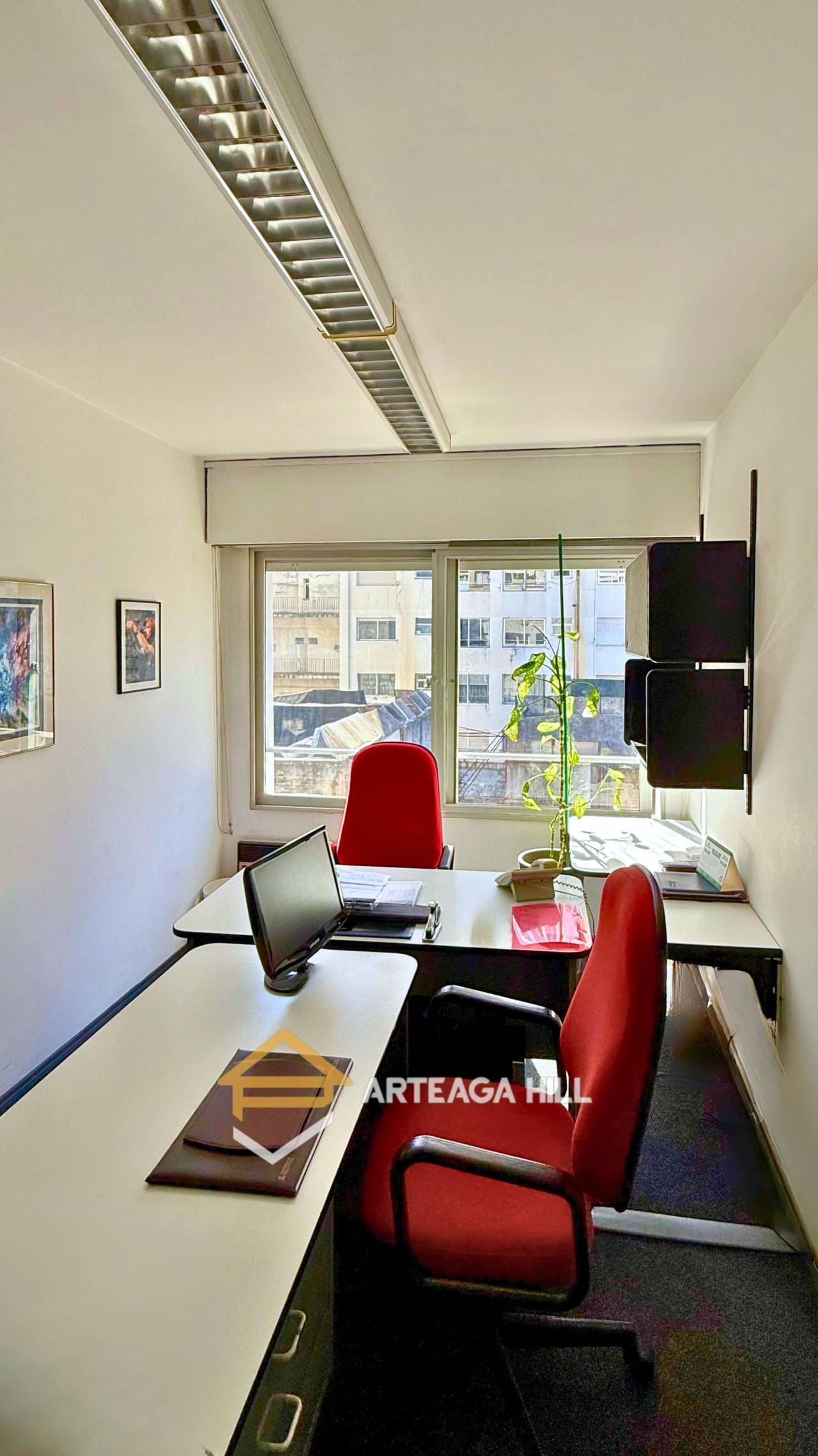 Alquiler| Oficina/consultorio En El Centro De Montevideo | 3 Ambientes + Sala De Reuniones | Excelente Estado, Lista Para Ingresar