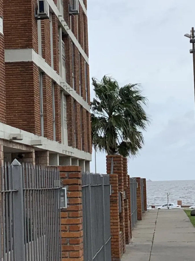 Alquiler Apartamento 3 Dormitorios Barrio Sur con balcon · Foto 12