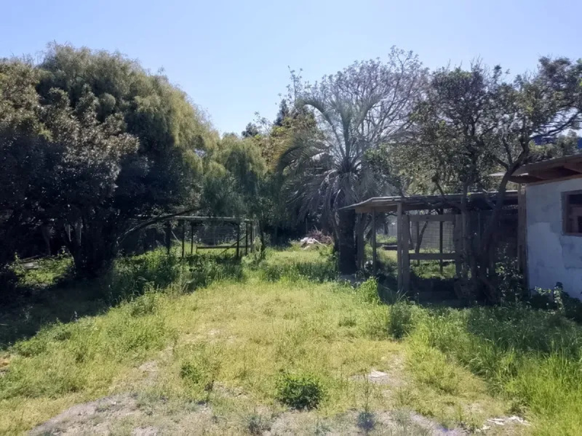 Alquiler Casa con Terreno 2000m2 y Deposito San Jose de Carrasco · Foto 12