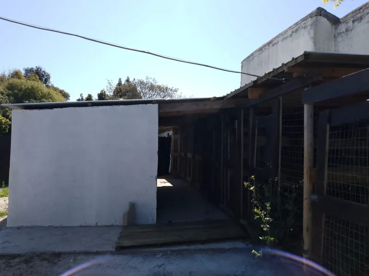 Alquiler Casa con Terreno 2000m2 y Deposito San Jose de Carrasco · Foto 10