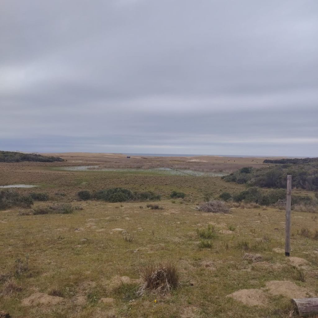 Terreno en venta 500 m² en La Perla Costa de Oro de Rocha - foto 2