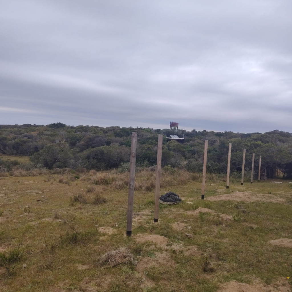 Terreno en venta 500 m² en La Perla Costa de Oro de Rocha - foto 5