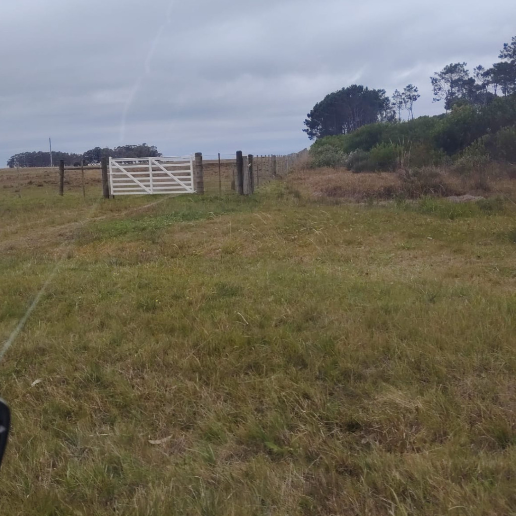 Terreno en venta 500 m² en La Perla Costa de Oro de Rocha - foto 4