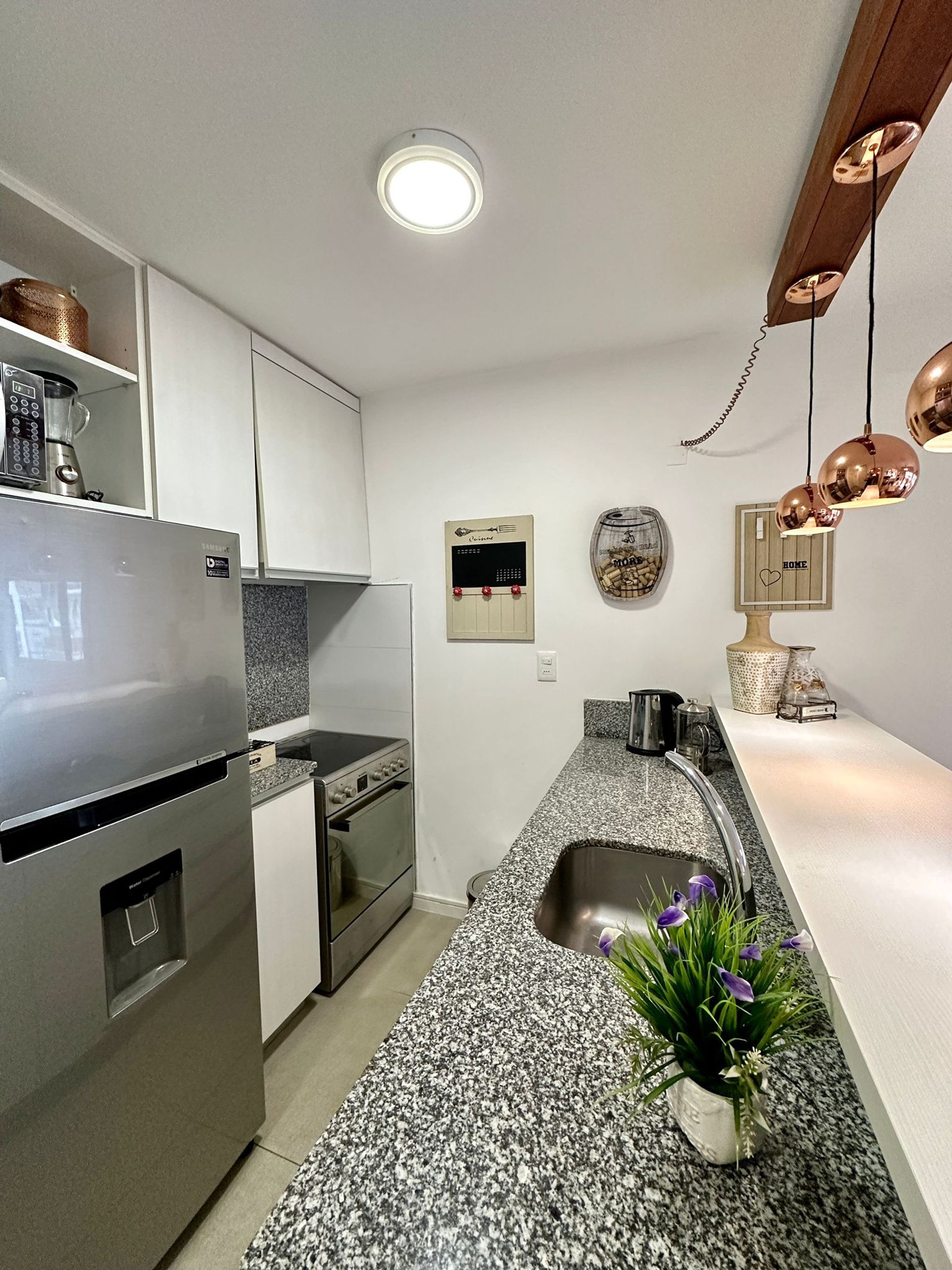 ALQUILER PUNTA CARRETAS 1 DORMI,C/MUEBLES Y GARAJE · Foto 9