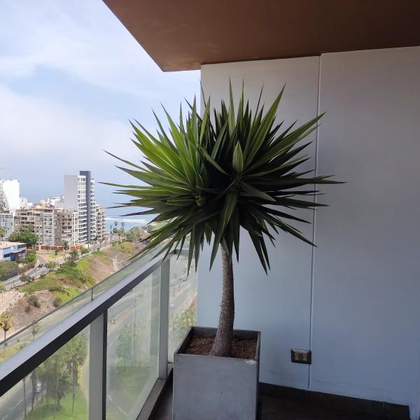Departamento en alquiler en Miraflores