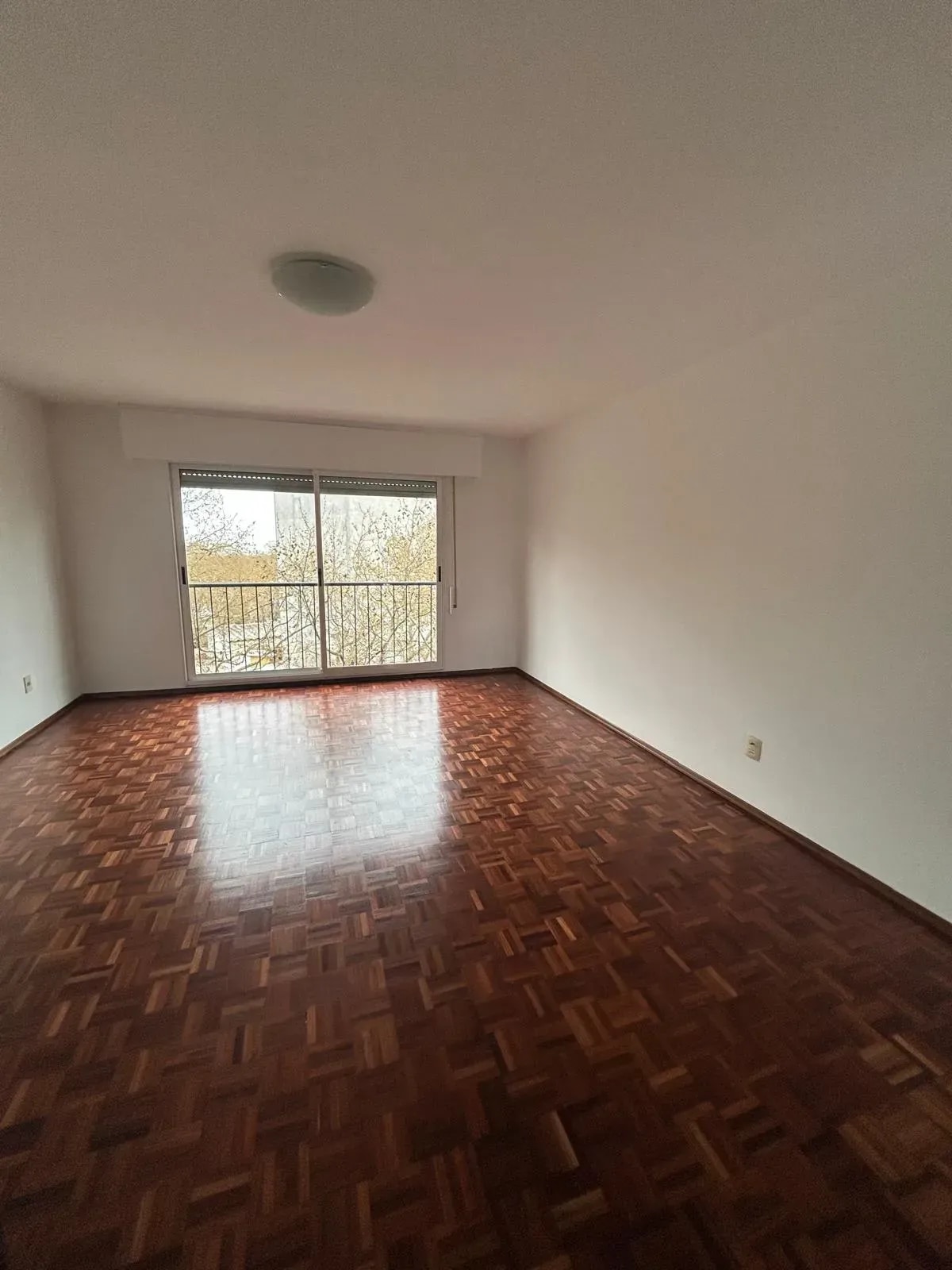ALQUILER APARTAMENTO DOS DORMITORIOS EN PARQUE RODÓ · Foto 12