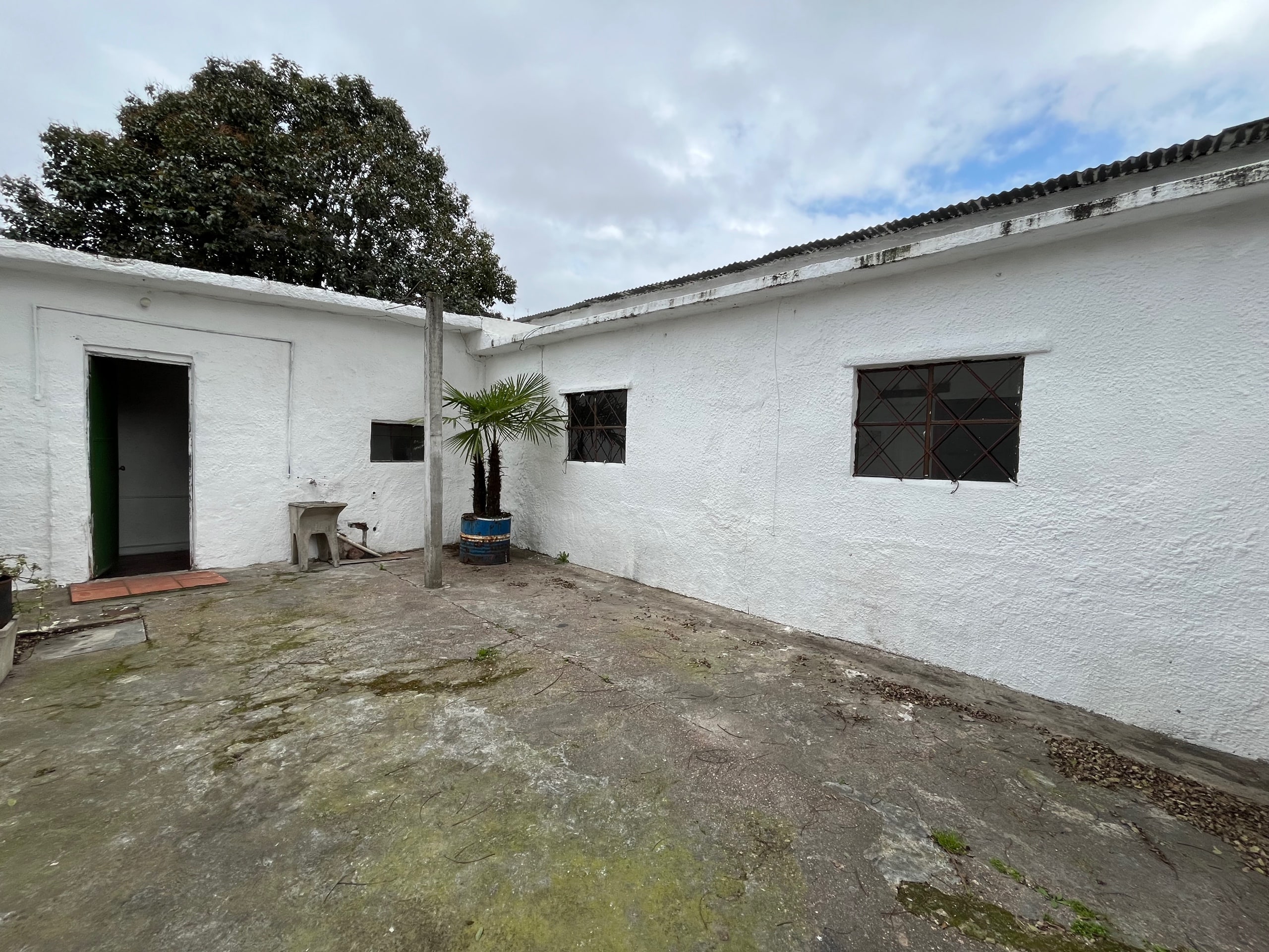 ALQUILER CASA TRES DORMITORIOS, GARAJE EN PÉREZ CASTELLANOS · Foto 12