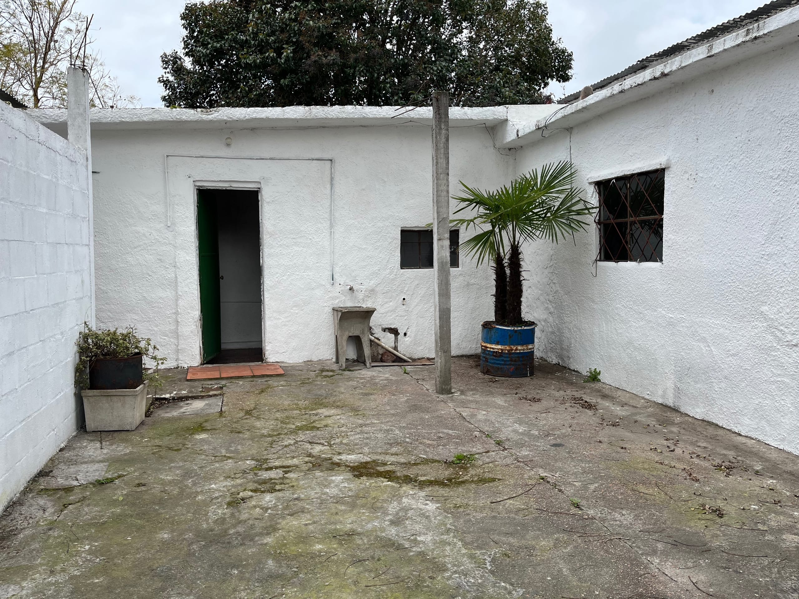 ALQUILER CASA TRES DORMITORIOS, GARAJE EN PÉREZ CASTELLANOS · Foto 11
