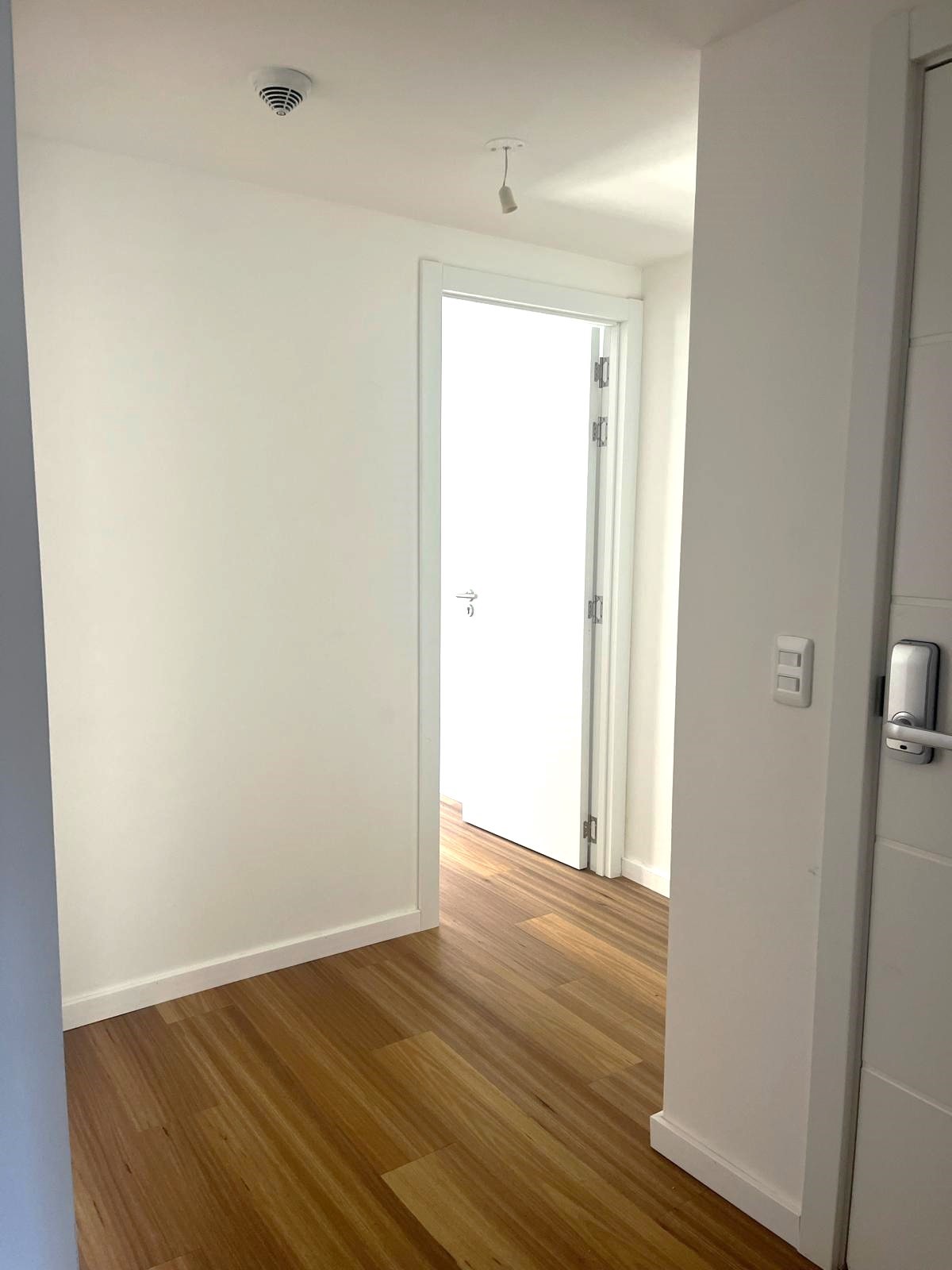 ALQUILER APARTAMENTO DOS DORMITORIOS EN CORDÓN SUR · Foto 3
