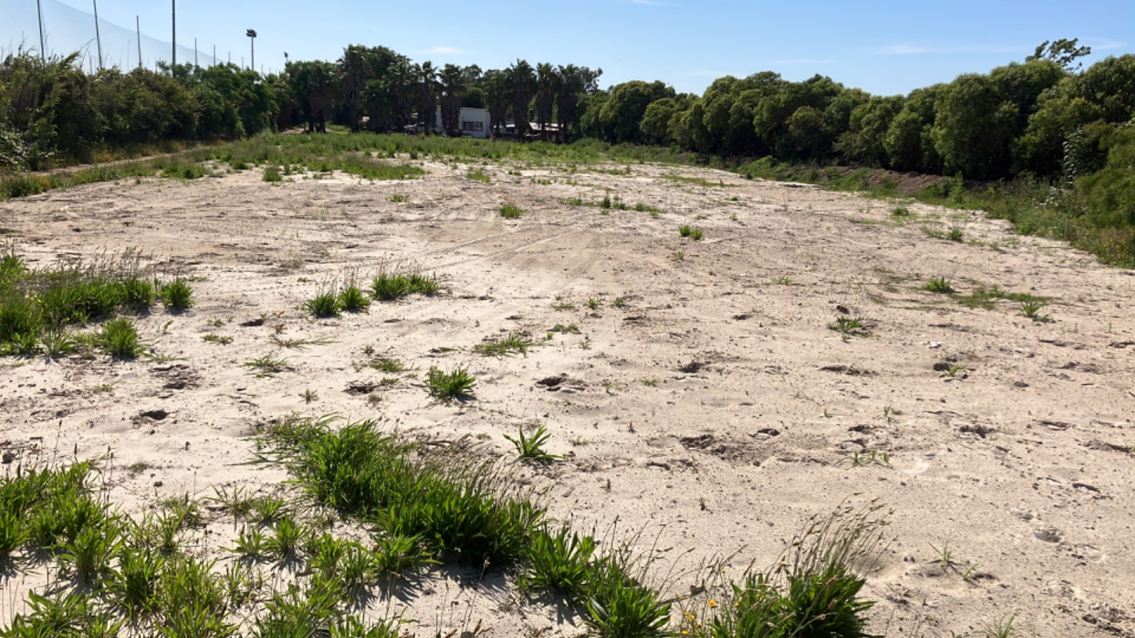 Terreno en alquiler de 6500m2 ubicado en Carrasco Norte · Foto 12