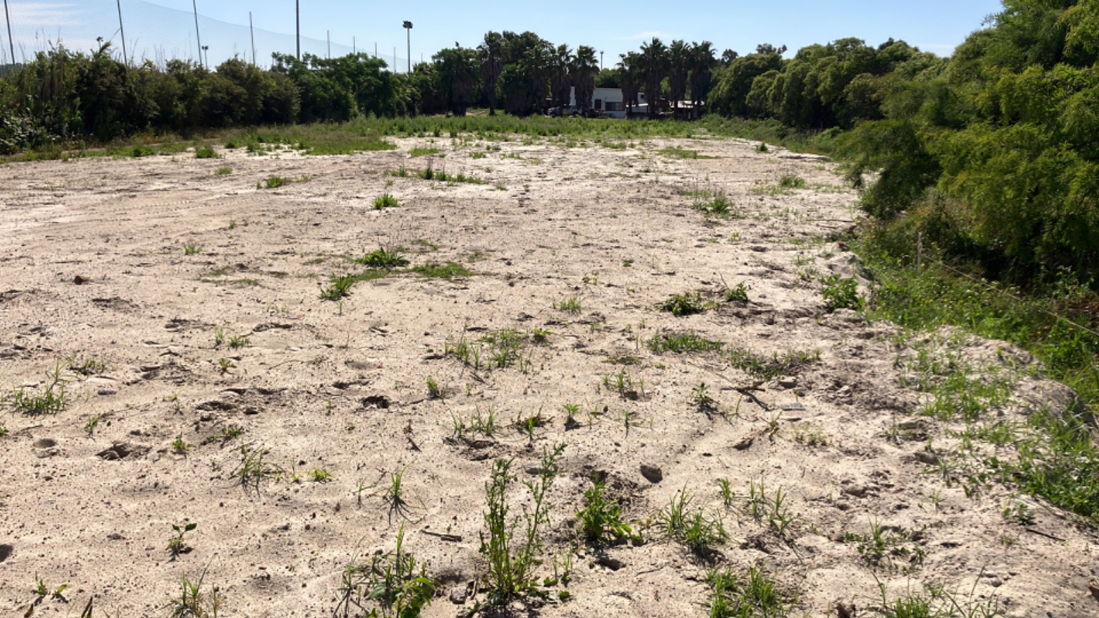 Terreno en alquiler de 6500m2 ubicado en Carrasco Norte · Foto 11