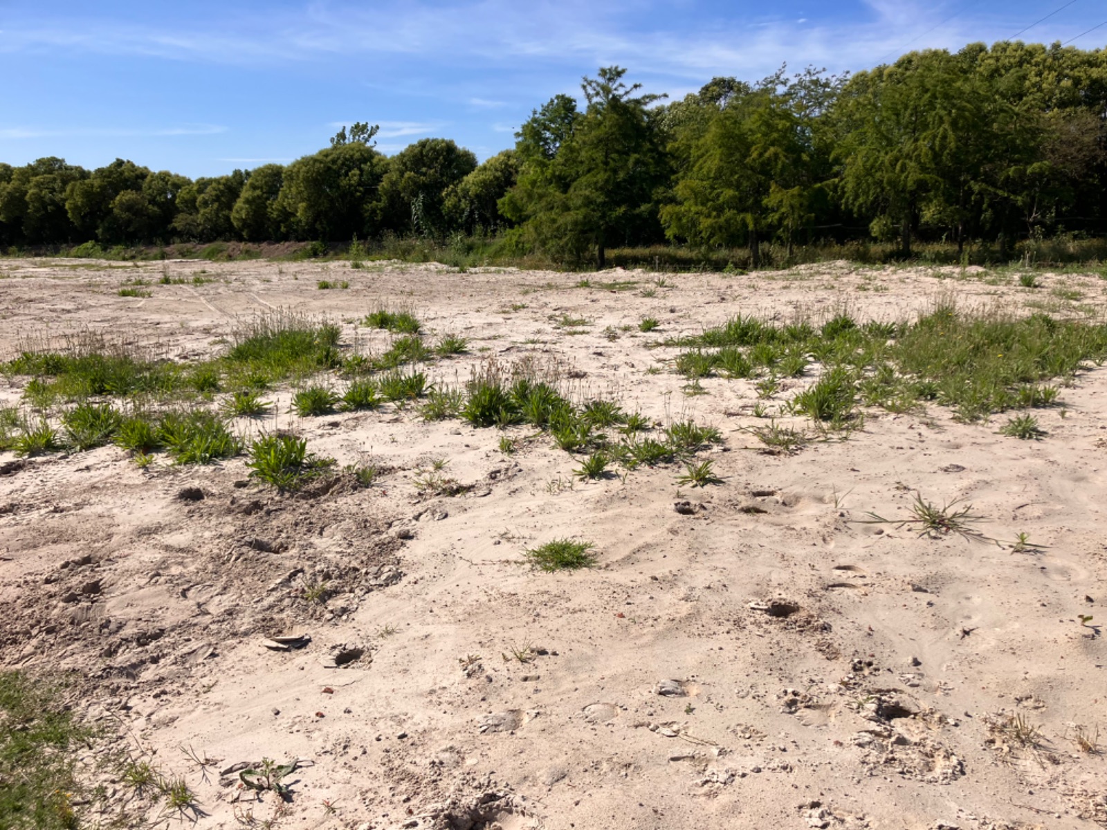 Terreno en alquiler de 6500m2 ubicado en Carrasco Norte · Foto 6