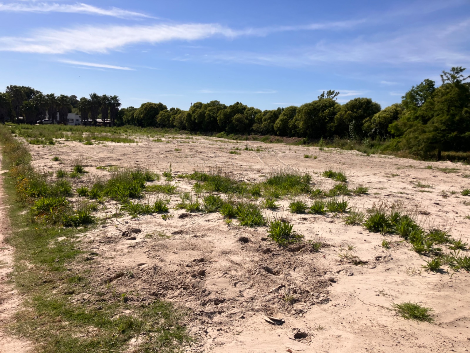 Terreno en alquiler de 6500m2 ubicado en Carrasco Norte · Foto 4