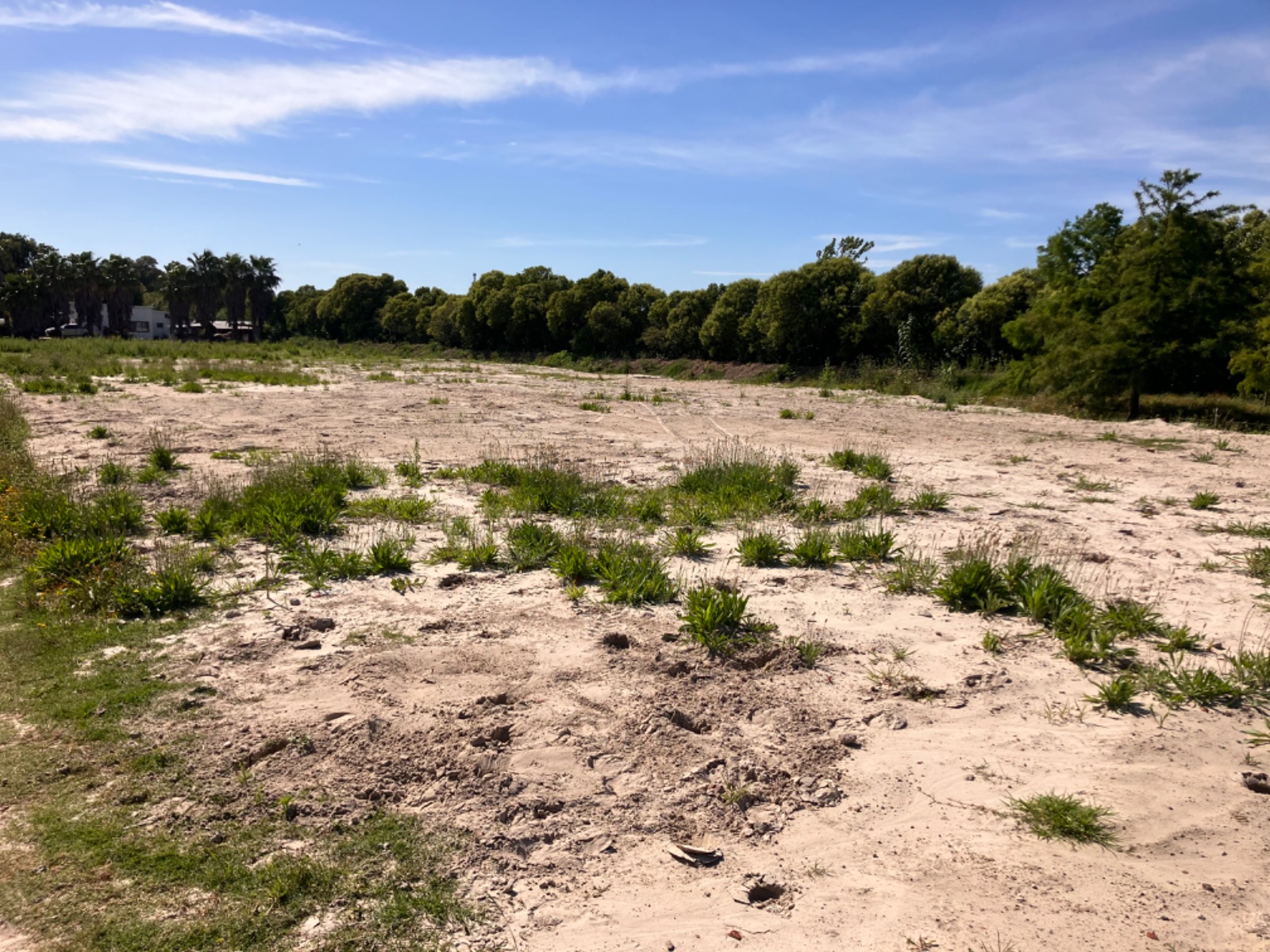 Terreno en alquiler de 6500m2 ubicado en Carrasco Norte · Foto 3