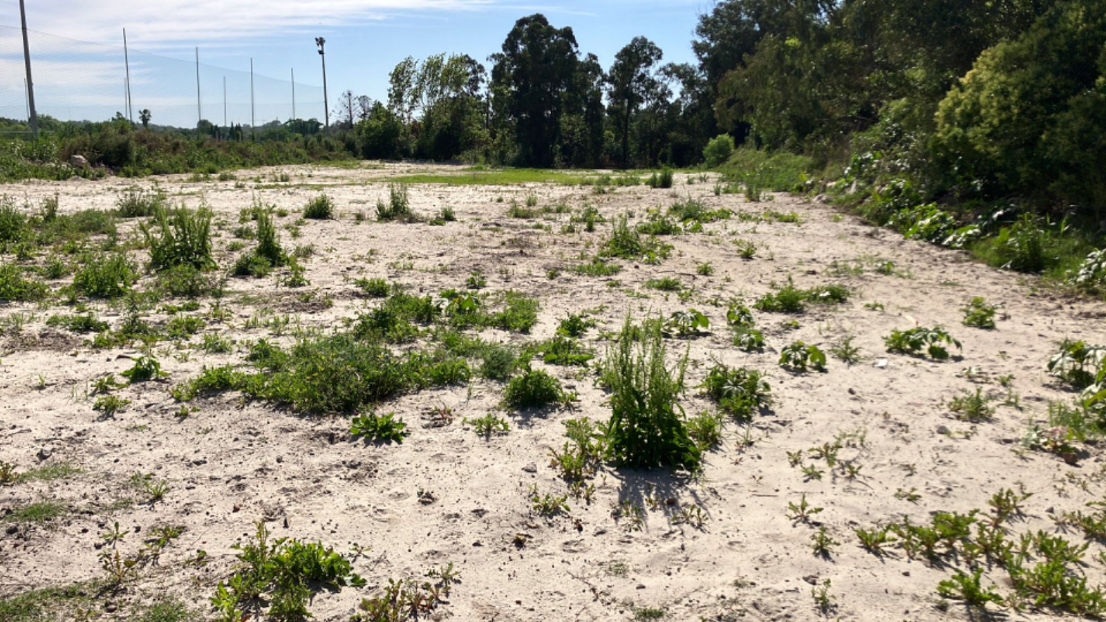 Terreno en alquiler de 6500m2 ubicado en Carrasco Norte · Foto 8