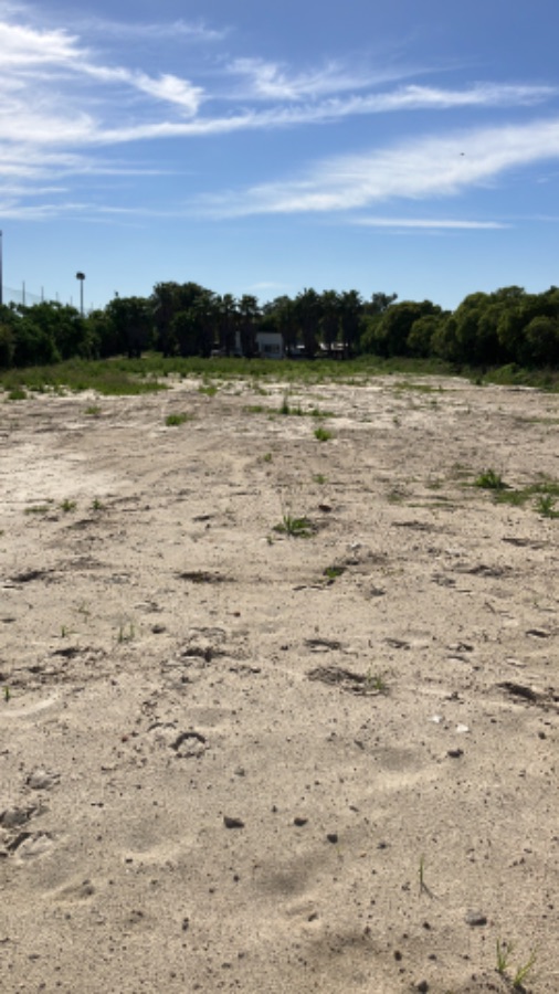 Terreno en alquiler de 6500m2 ubicado en Carrasco Norte · Foto 10