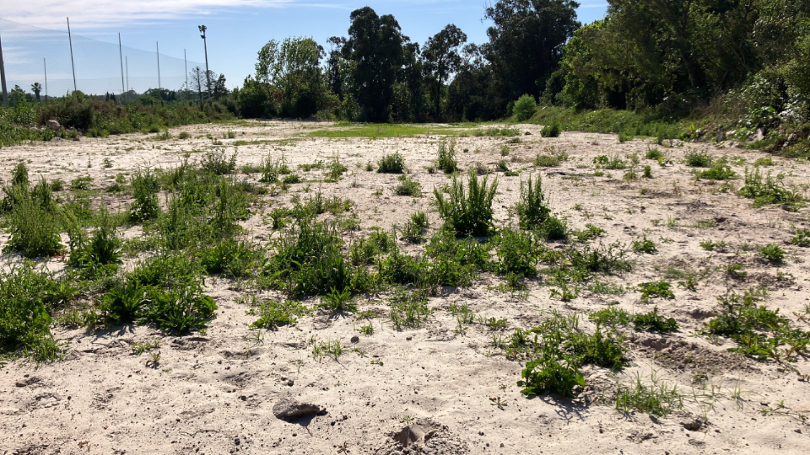 Terreno en alquiler de 6500m2 ubicado en Carrasco Norte · Foto 9