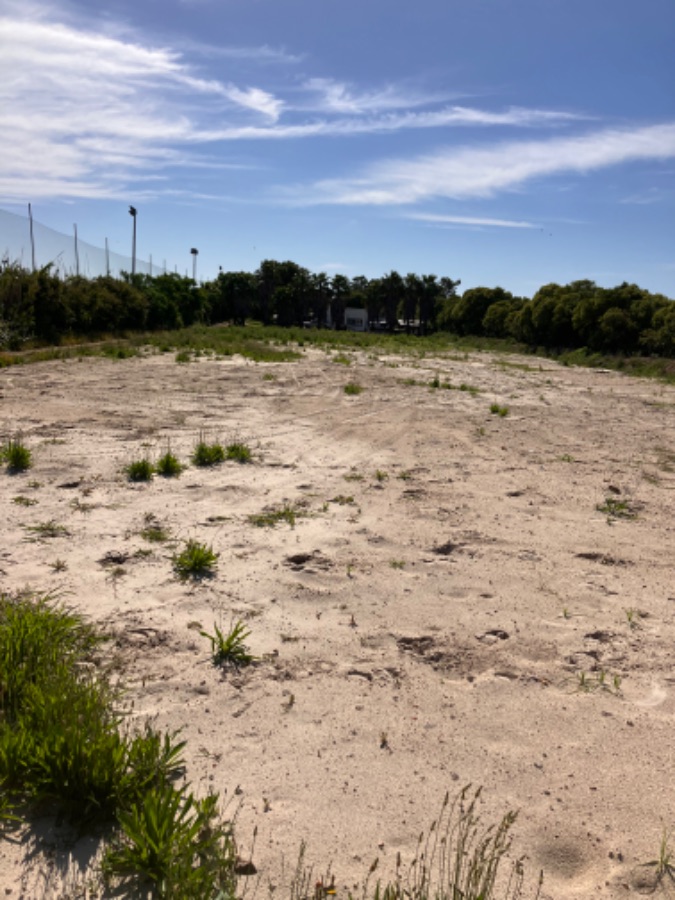 Terreno en alquiler de 6500m2 ubicado en Carrasco Norte · Foto 5